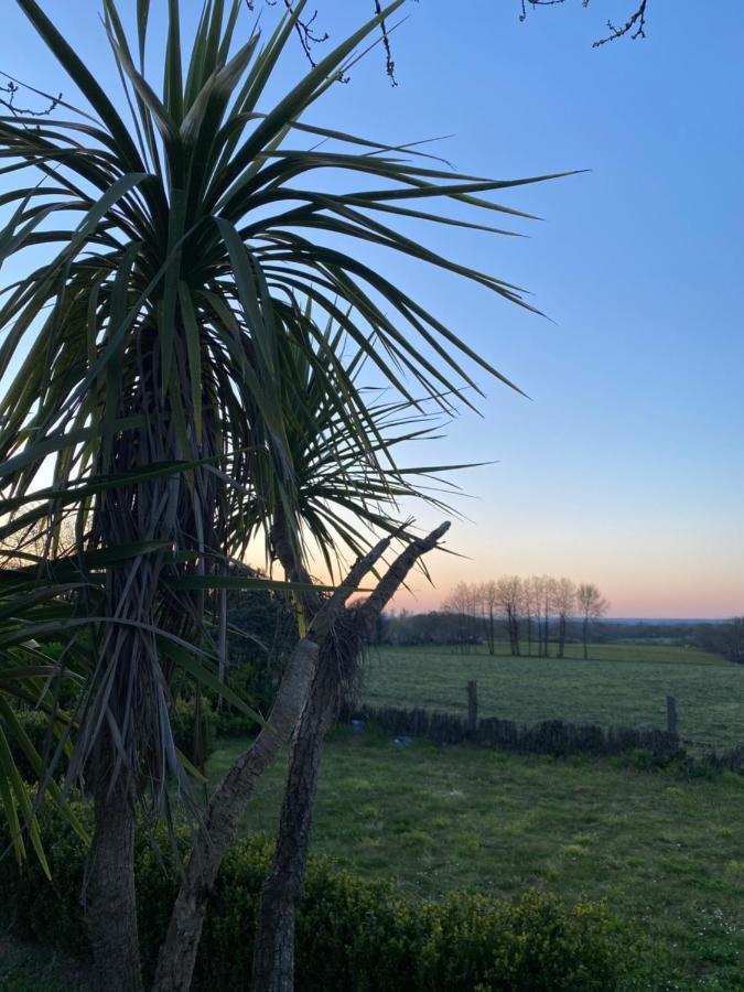 Maisonbel, gite convivial Bretagne Vannes Sarzeau 15 personnes Surzur Extérieur photo